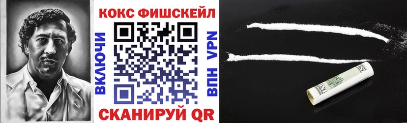COCAIN Fish Scale  площадка клад  Заполярный  где купить наркоту 