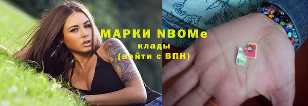 ПСИЛОЦИБИНОВЫЕ ГРИБЫ Арсеньев