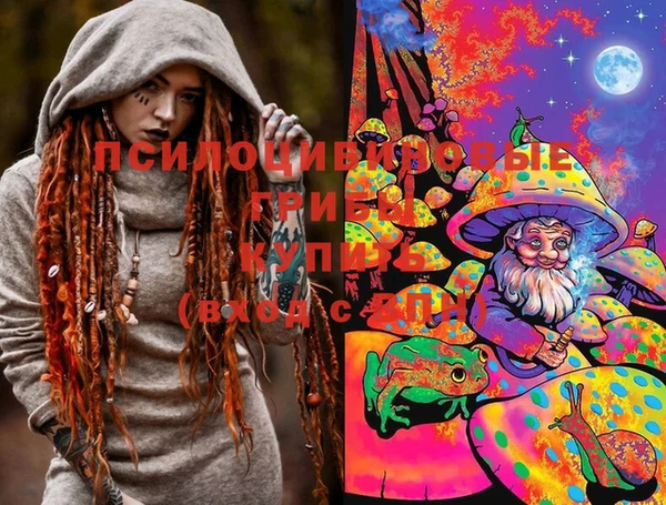 ПСИЛОЦИБИНОВЫЕ ГРИБЫ Арсеньев