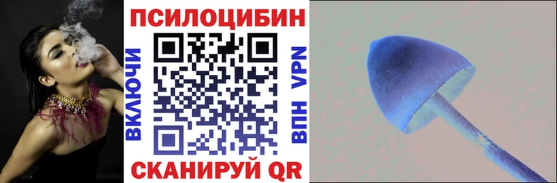 Псилоцибиновые грибы GOLDEN TEACHER  OMG как войти  Заполярный 